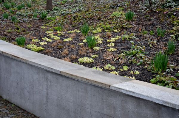 Concrete Wall Construction in Broken Arrow